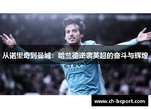 从诺里奇到曼城：哈兰德逆袭英超的奋斗与辉煌
