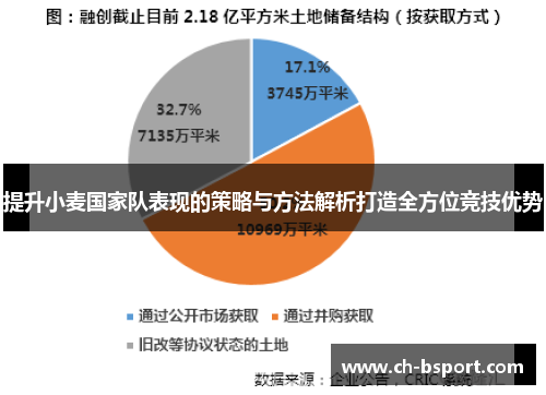 提升小麦国家队表现的策略与方法解析打造全方位竞技优势