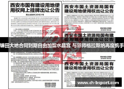 镰田大地合同到期自由加盟水晶宫 与恩师格拉斯纳再度携手