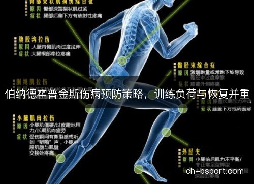 伯纳德霍普金斯伤病预防策略，训练负荷与恢复并重